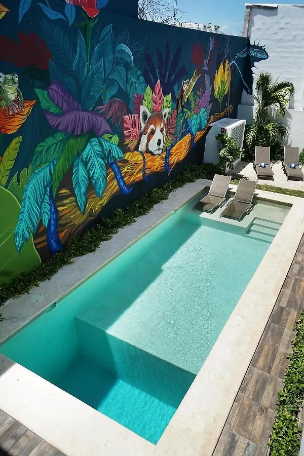 Red Panda Hostal Playa del Carmen Hostel