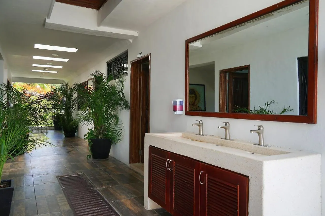 Hostel Red Panda Hostal Playa del Carmen