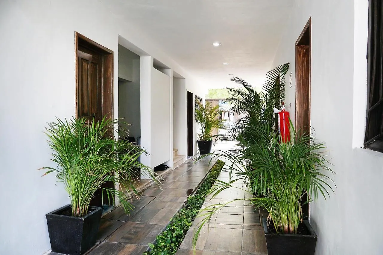 Hostel Red Panda Hostal Playa del Carmen Mexiko