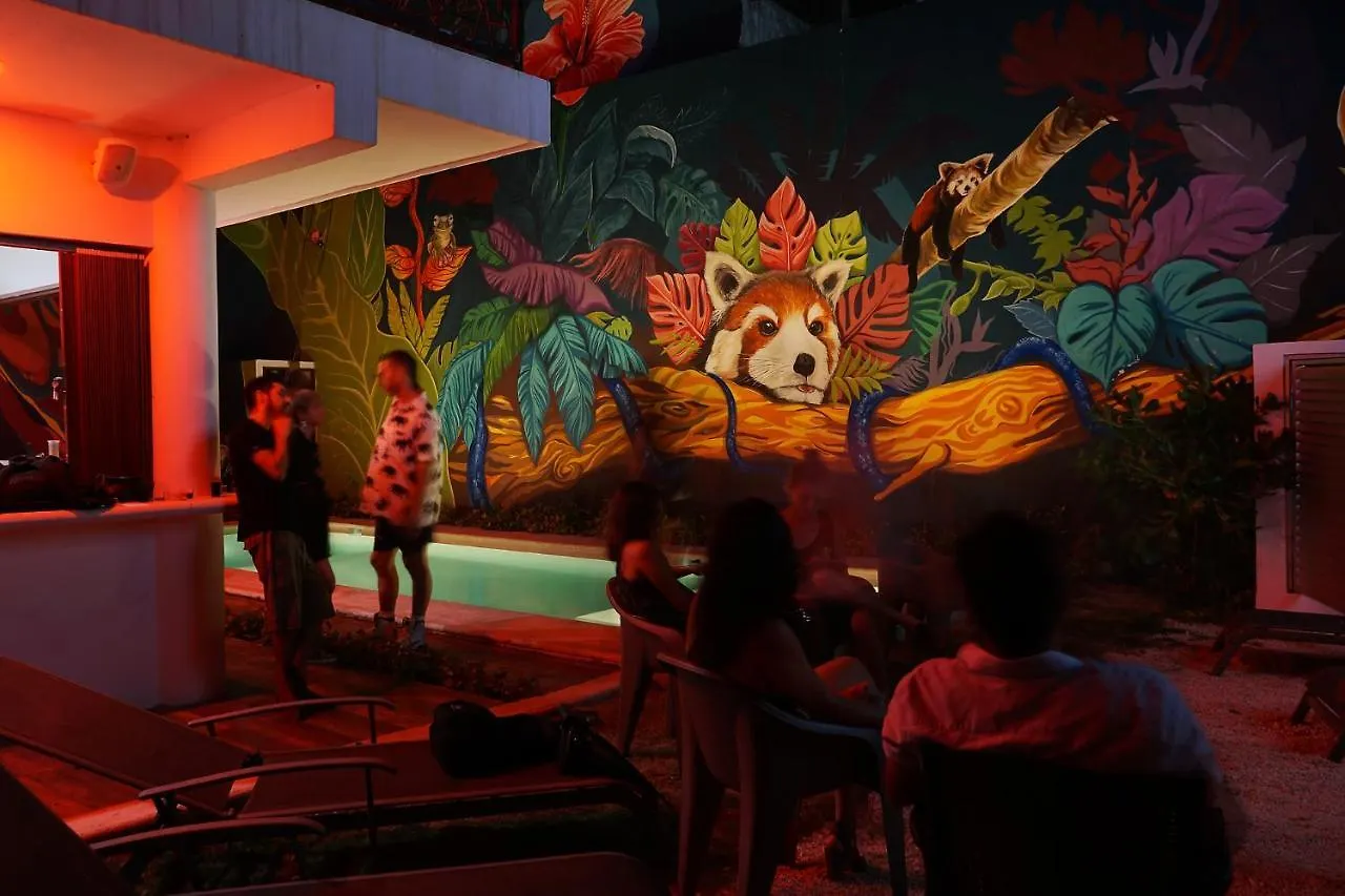 Hostel Red Panda Hostal Playa del Carmen