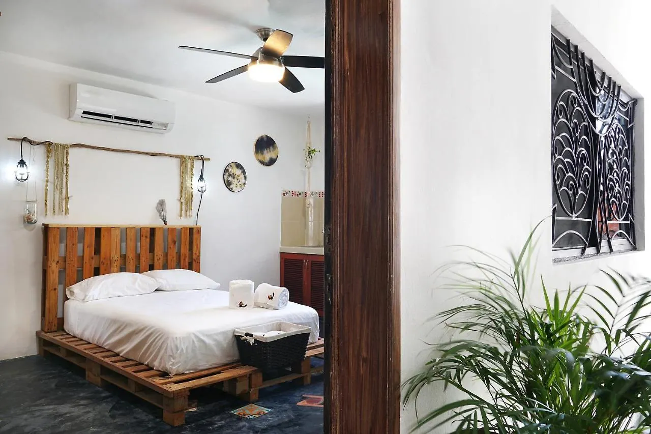 Hostel Red Panda Hostal Playa del Carmen