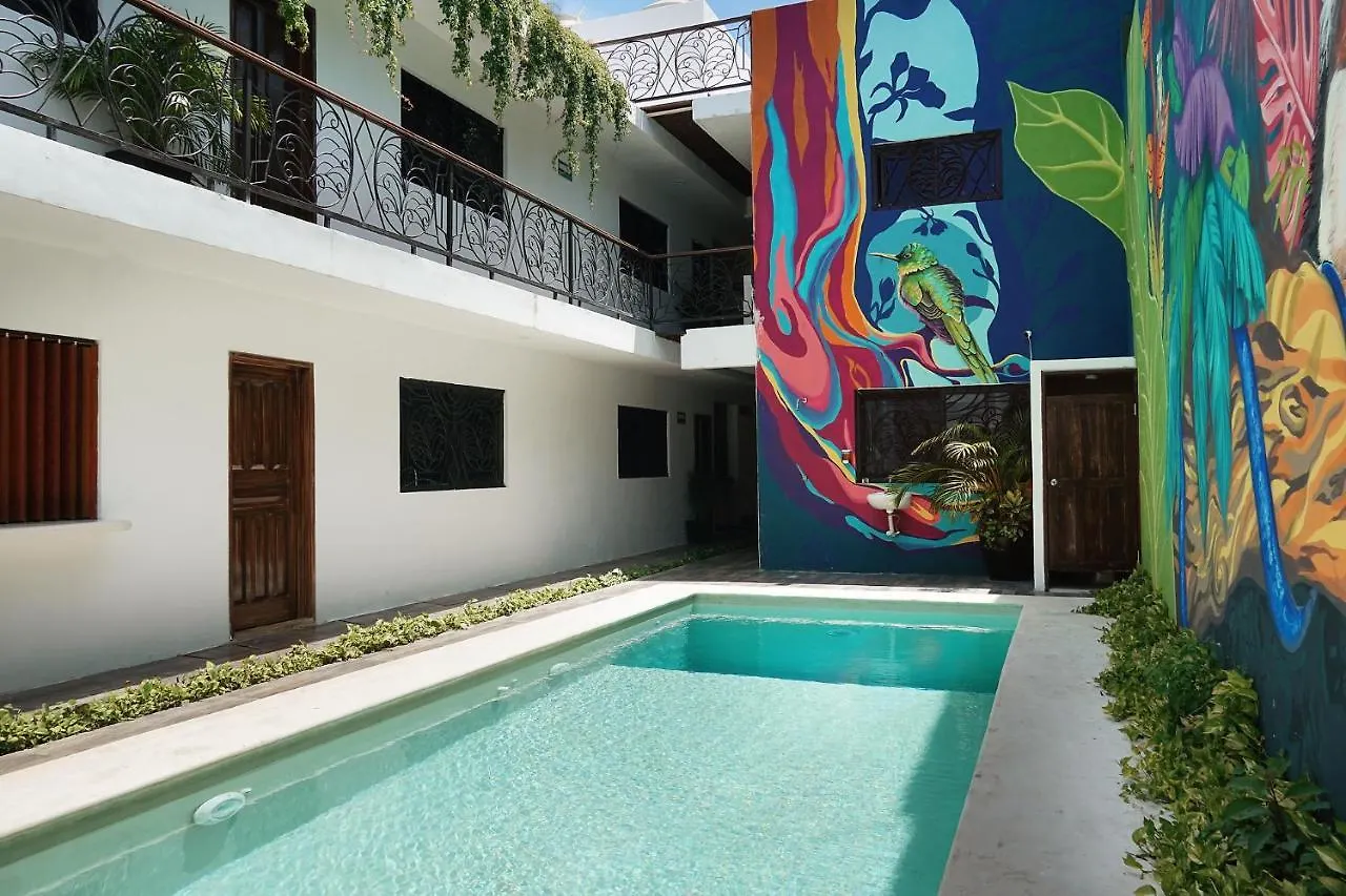 Hostel Red Panda Hostal Playa del Carmen