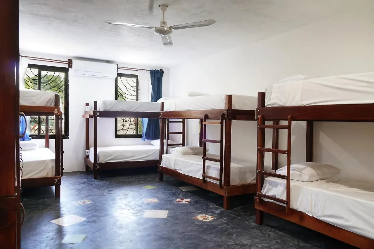 Hostel Red Panda Hostal Playa del Carmen