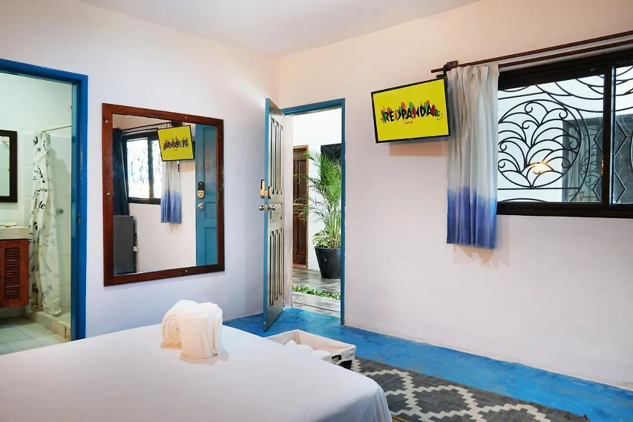 Hostel Red Panda Hostal Playa del Carmen