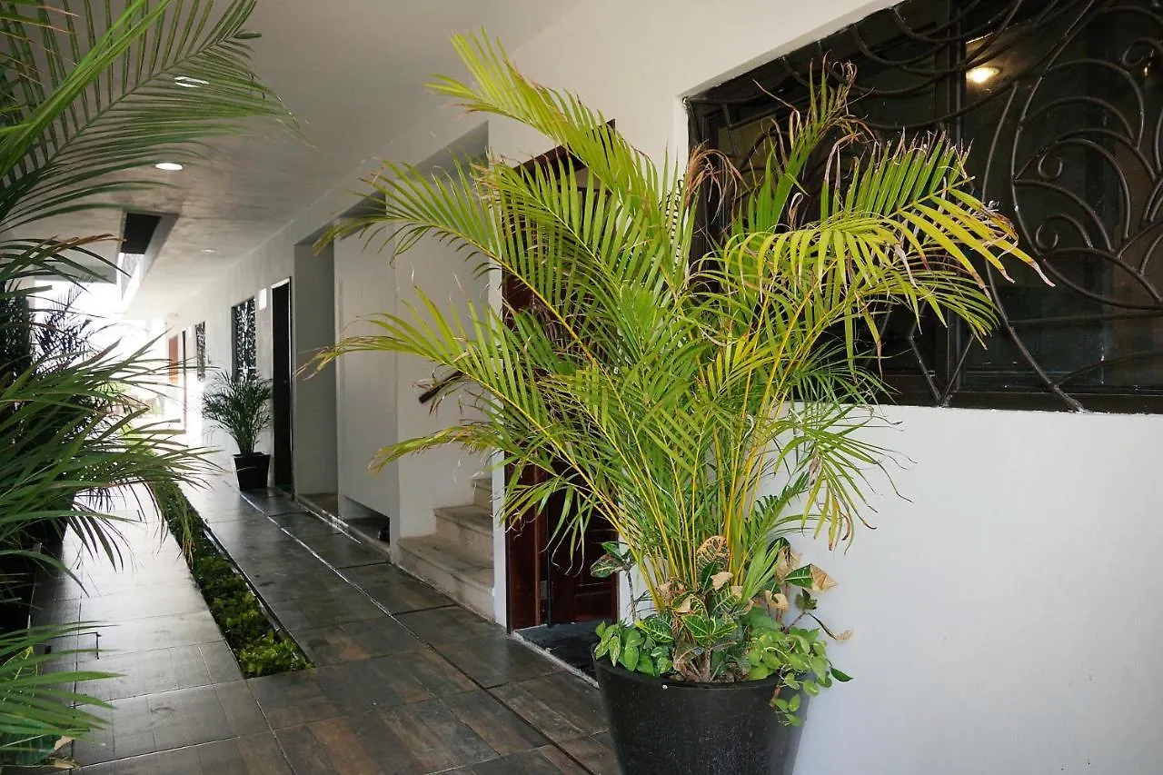 Hostel Red Panda Hostal Playa del Carmen