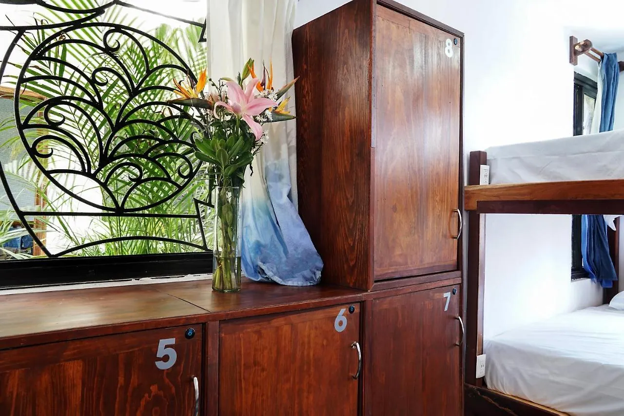 Red Panda Hostal Playa del Carmen 0*,