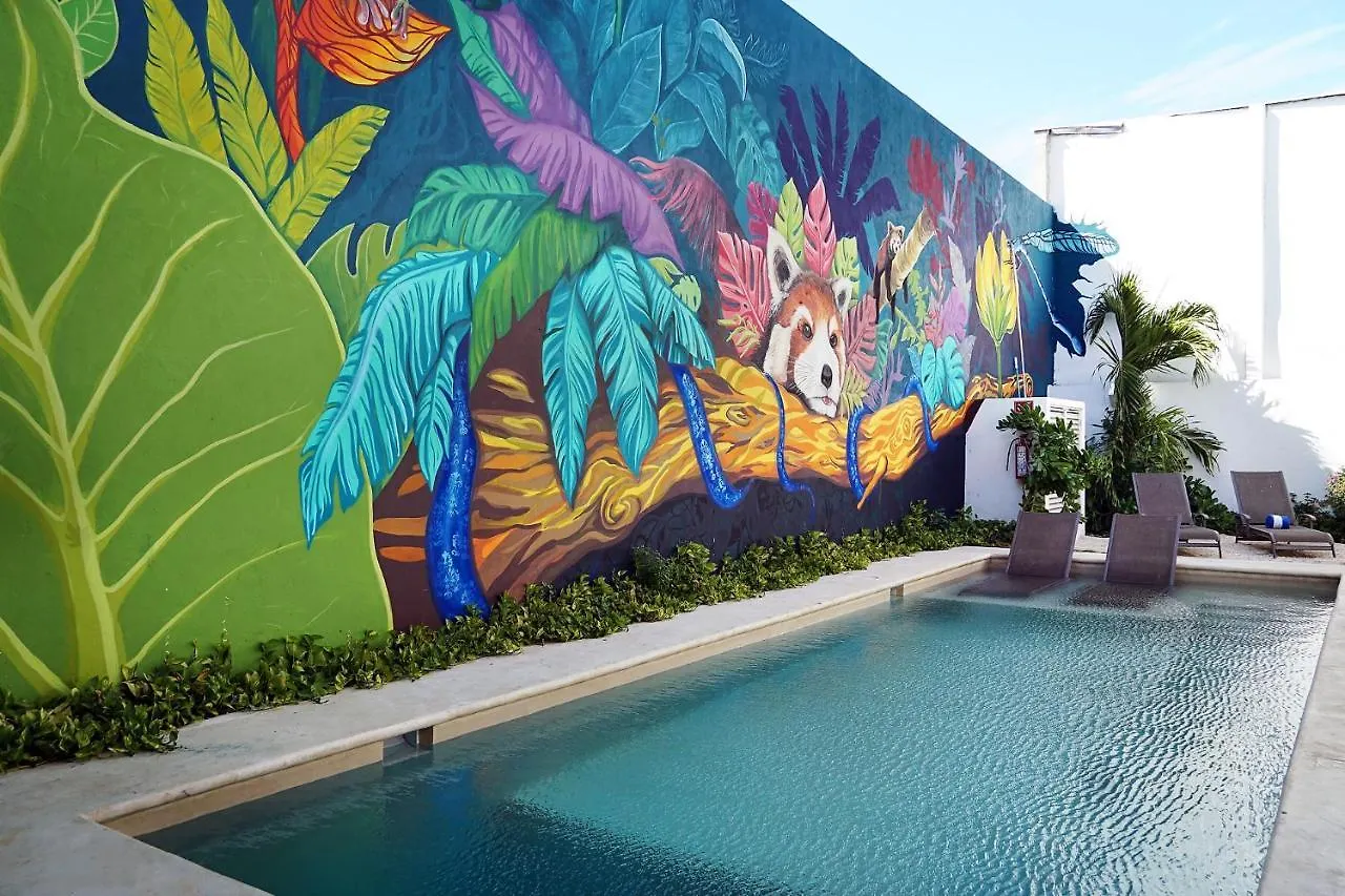 Hostel Red Panda Hostal Playa del Carmen Mexiko