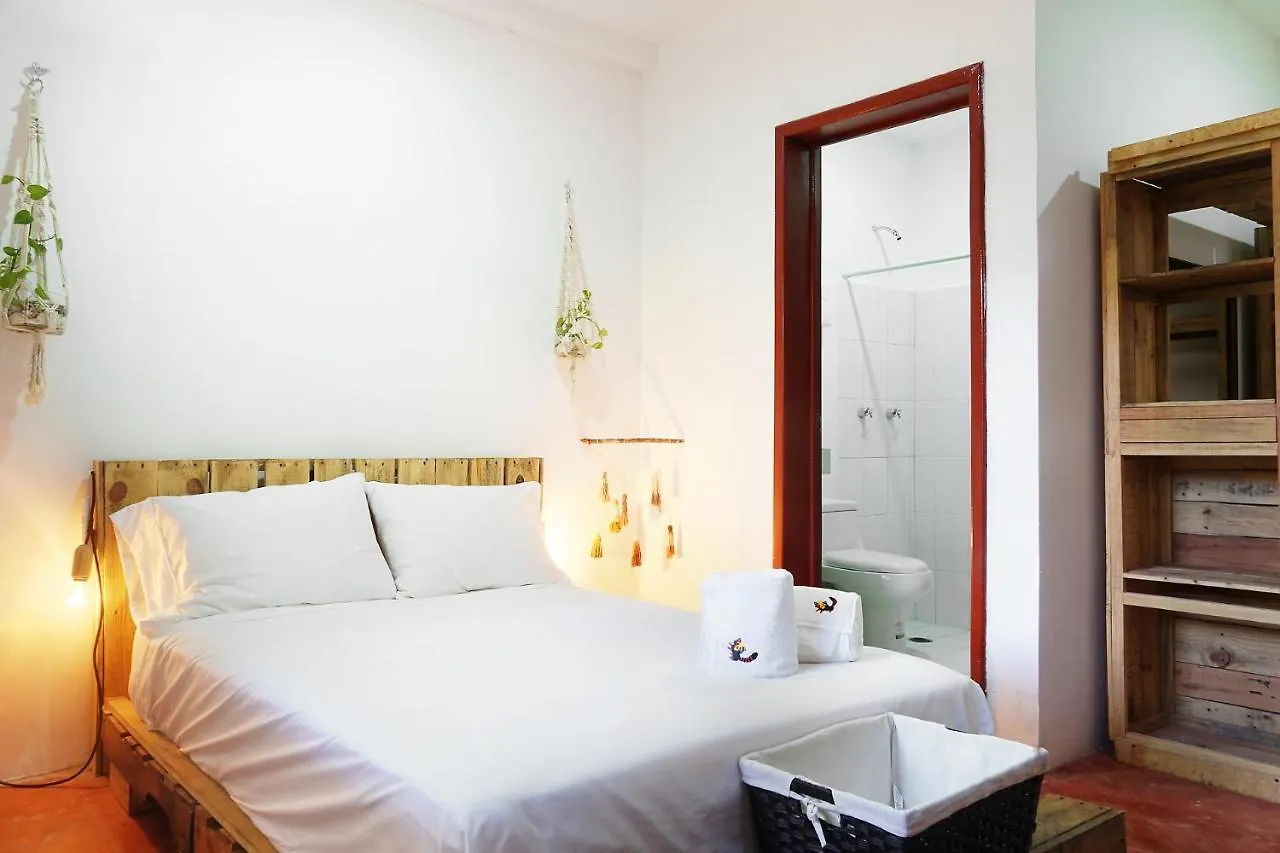 Red Panda Hostal Playa del Carmen Hostel