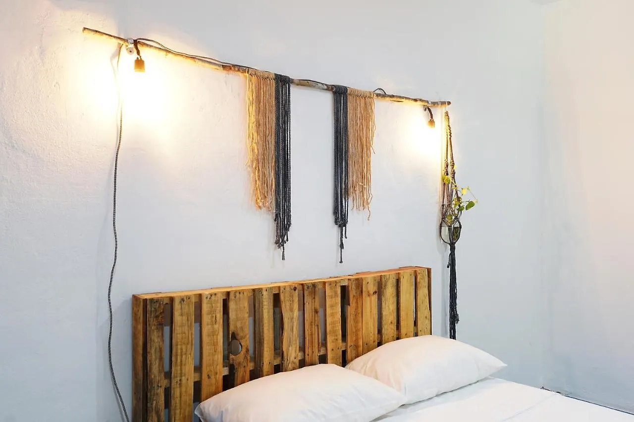 Red Panda Hostal Playa del Carmen Hostel
