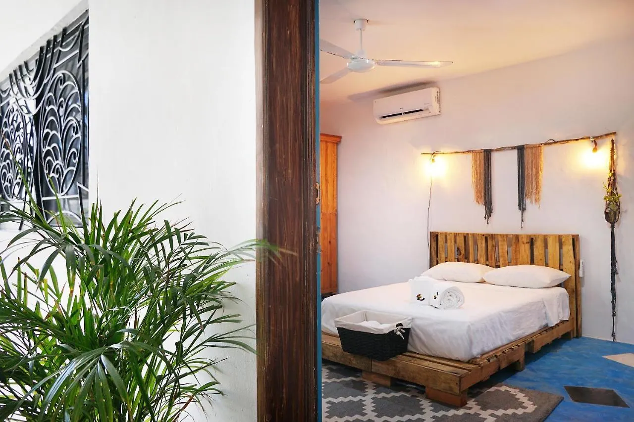 Red Panda Hostal Playa del Carmen Hostel
